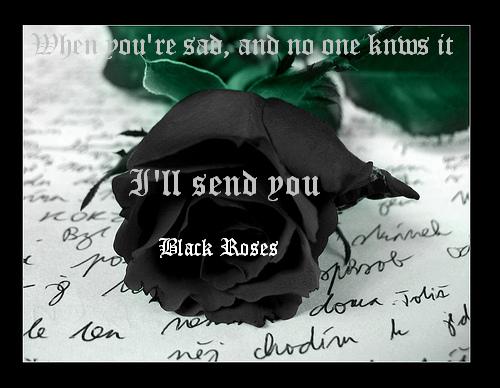 Black Rose Quotes Quotesgram