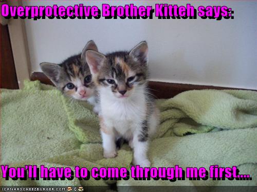 Protective Big Brother Quotes Quotesgram