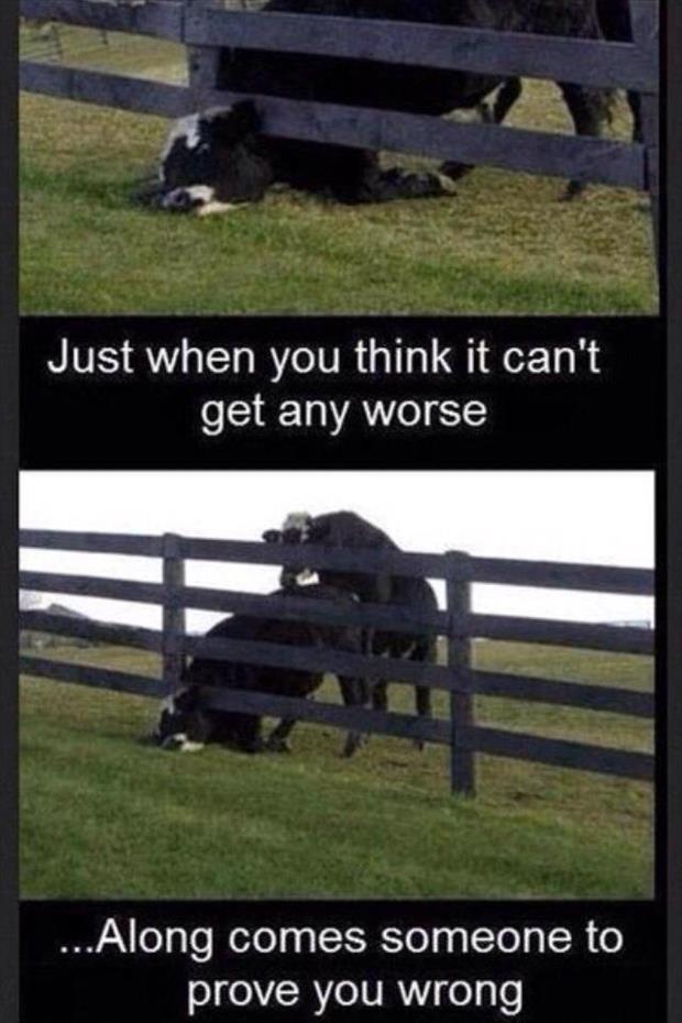 Funny Quotes About Having A Bad Day QuotesGram