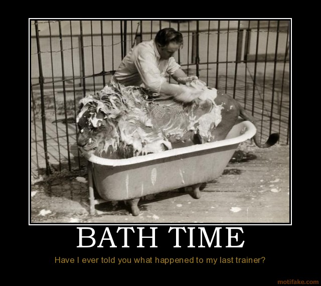 Funny Quotes About Bath Time. QuotesGram