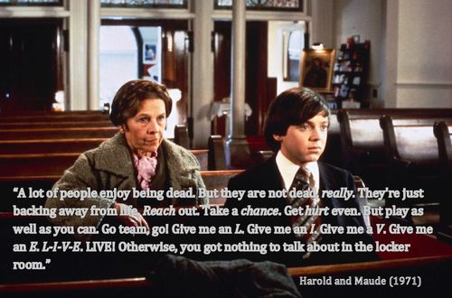 Harold And Maude Quotes