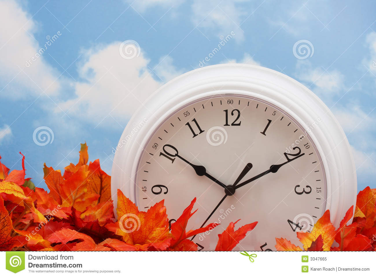 Spring Forward Fall Back Quotes. QuotesGram