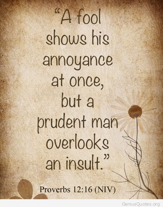 Biblical Quotes About Respect. QuotesGram