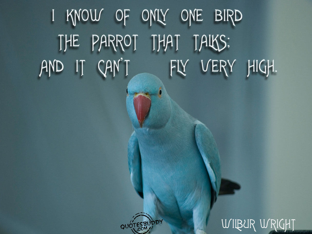 Fly Quotes And Sayings. QuotesGram