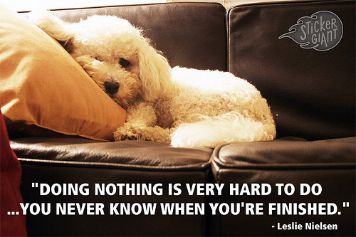 Doing Nothing Funny Quotes QuotesGram