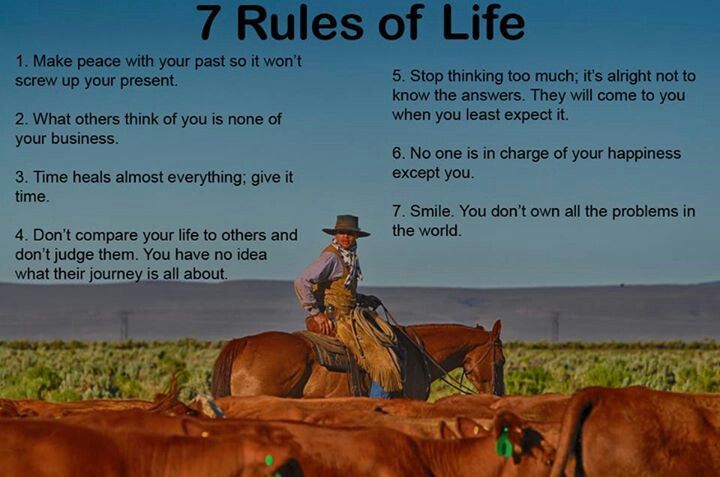 Cowboy Logic Quotes. QuotesGram