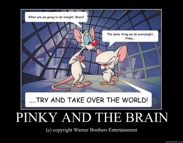 Pinky Giving Brain