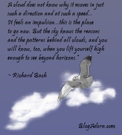 From Jonathan Livingston Seagull Quotes. QuotesGram