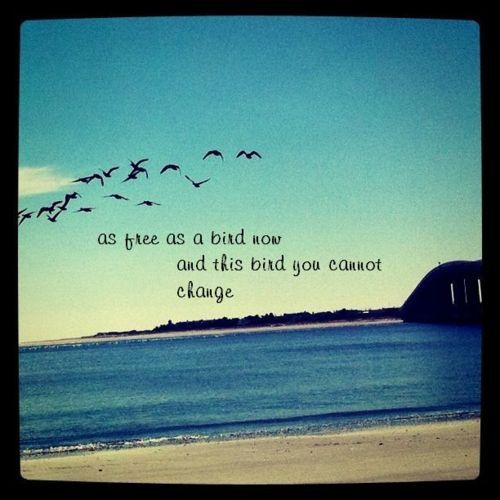 Lynyrd Skynyrd Quotes. QuotesGram