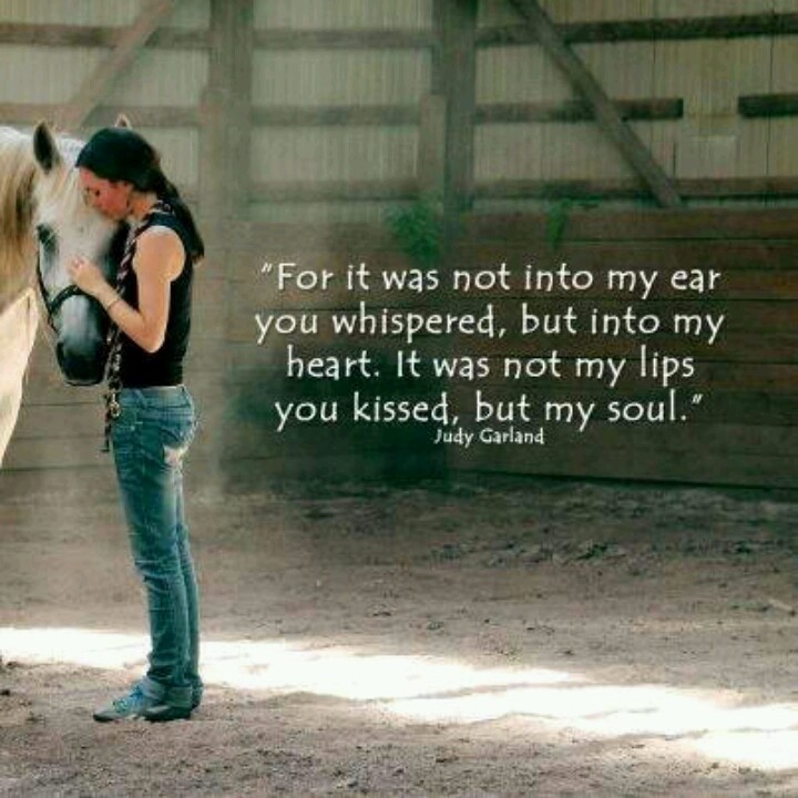 The Horse Whisperer Quotes. QuotesGram