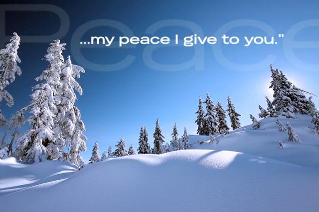 Holiday Food Quotes. QuotesGram