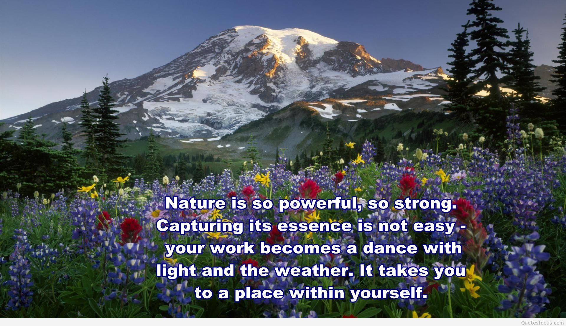 Mother And Mother Nature Quotes