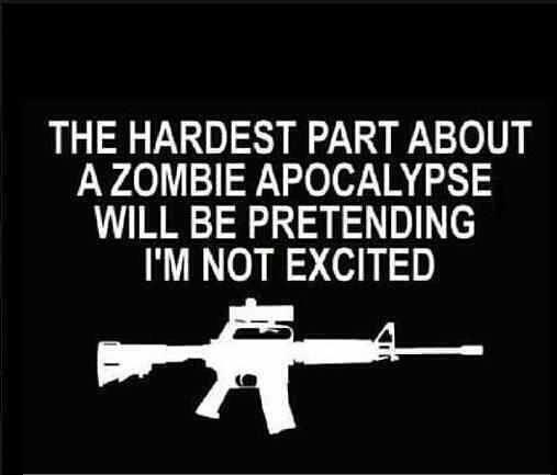 Zombie Apocalypse Quotes. QuotesGram