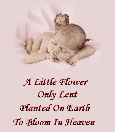Baby Birthday In Heaven Quotes. QuotesGram