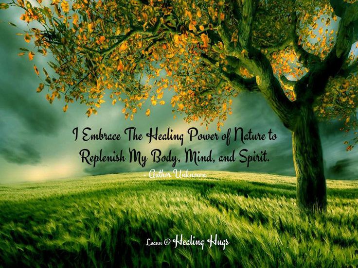 Nature Is Healing Quotes Power Of Nature Quotes. Quotesgram