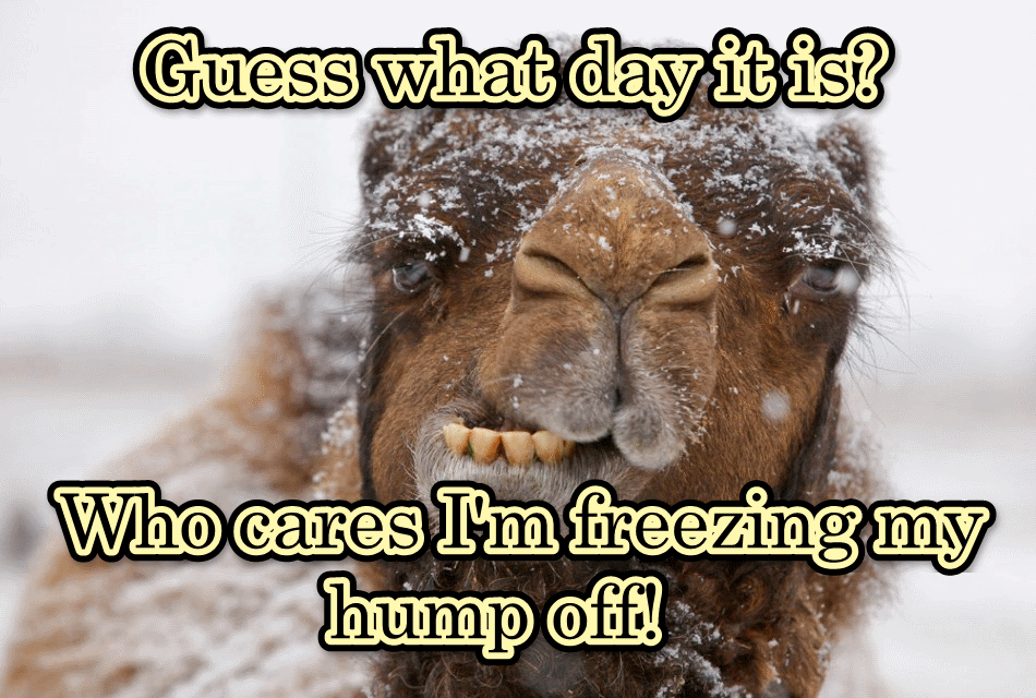 Hilarious Wednesday Quotes. QuotesGram Hilarious Wednesday Quotes. QuotesGram
