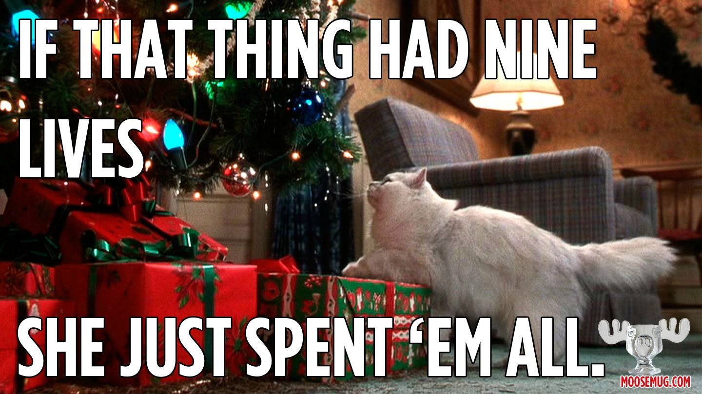 Eddie From Christmas Vacation Quotes. QuotesGram