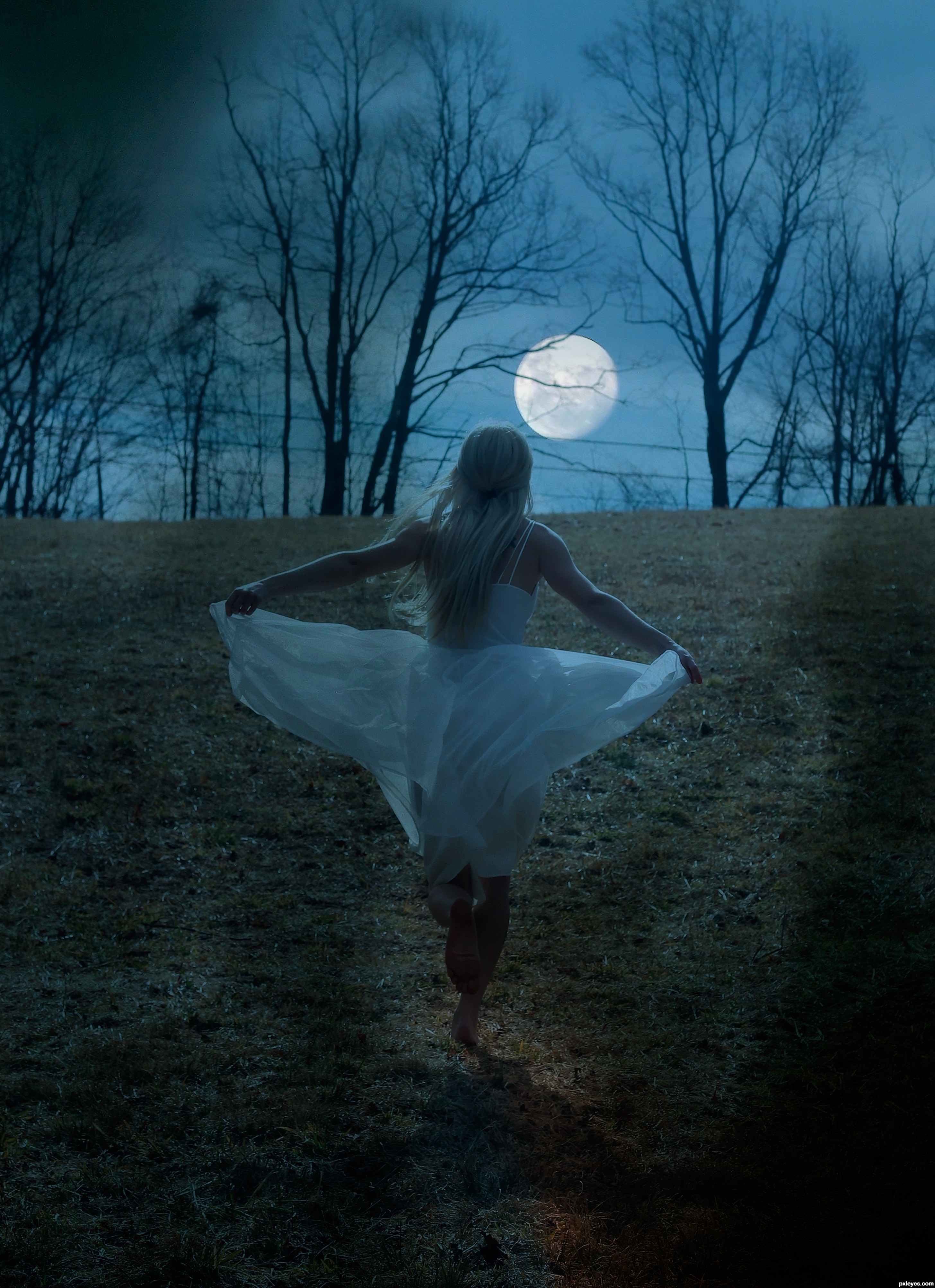 Moon Dancer Quotes Pics Quotesgram Moon Dancer Quotes Pics Quotesgram