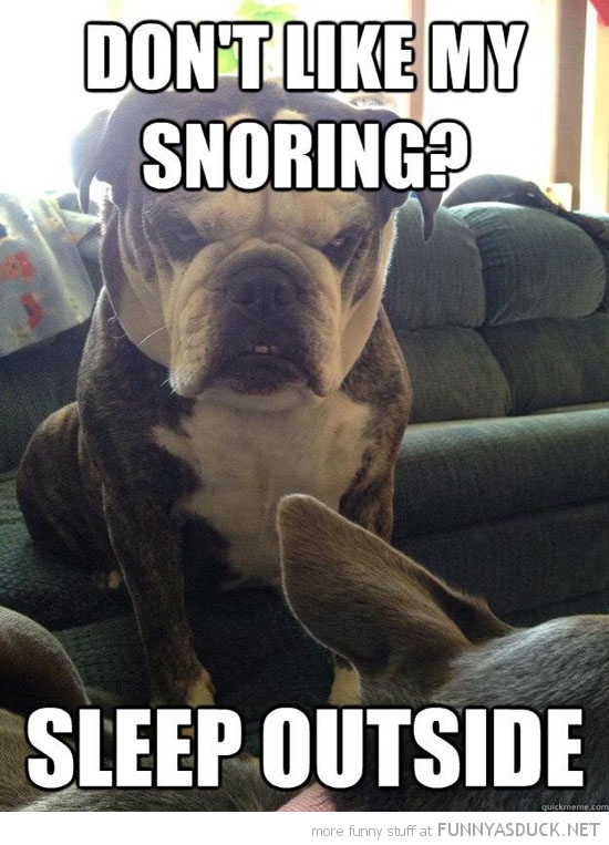 Snoring I Dont Like Quotes. QuotesGram