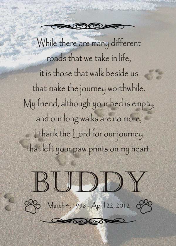 Rip Pet Quotes QuotesGram