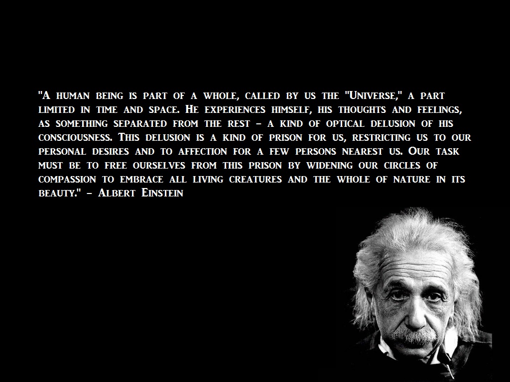 Quotes From Einstein On Technology. QuotesGram Quotes From Einstein