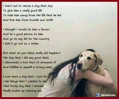 Rescue Dog Poems And Quotes. QuotesGram