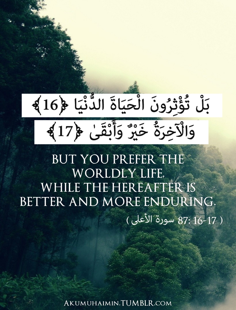 Quran Verses About Life Quran Quotes About Death. Quotesgram