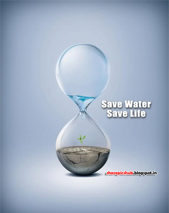 Essay on Save Water (in English) for Classes 1, 2 & 3: 10 Lines, Short &  Long Paragraph