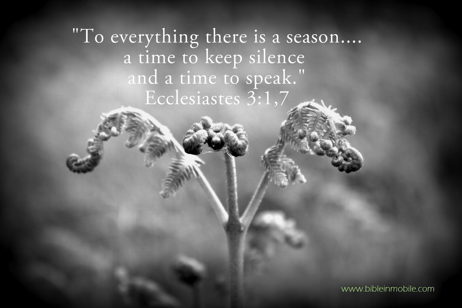 Silence Bible Quote - Psalm 62:1
