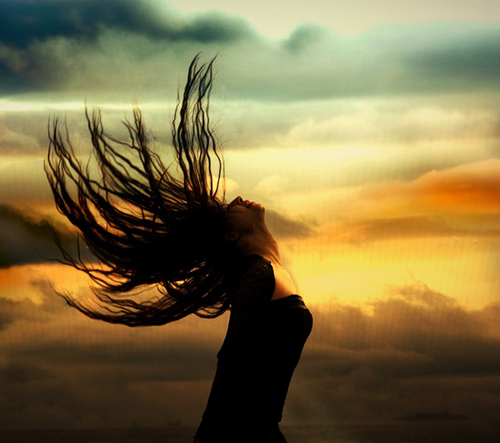 Wild Woman Sisterhood Quotes. QuotesGram