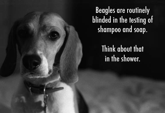 Stop Animal Testing Quotes. QuotesGram