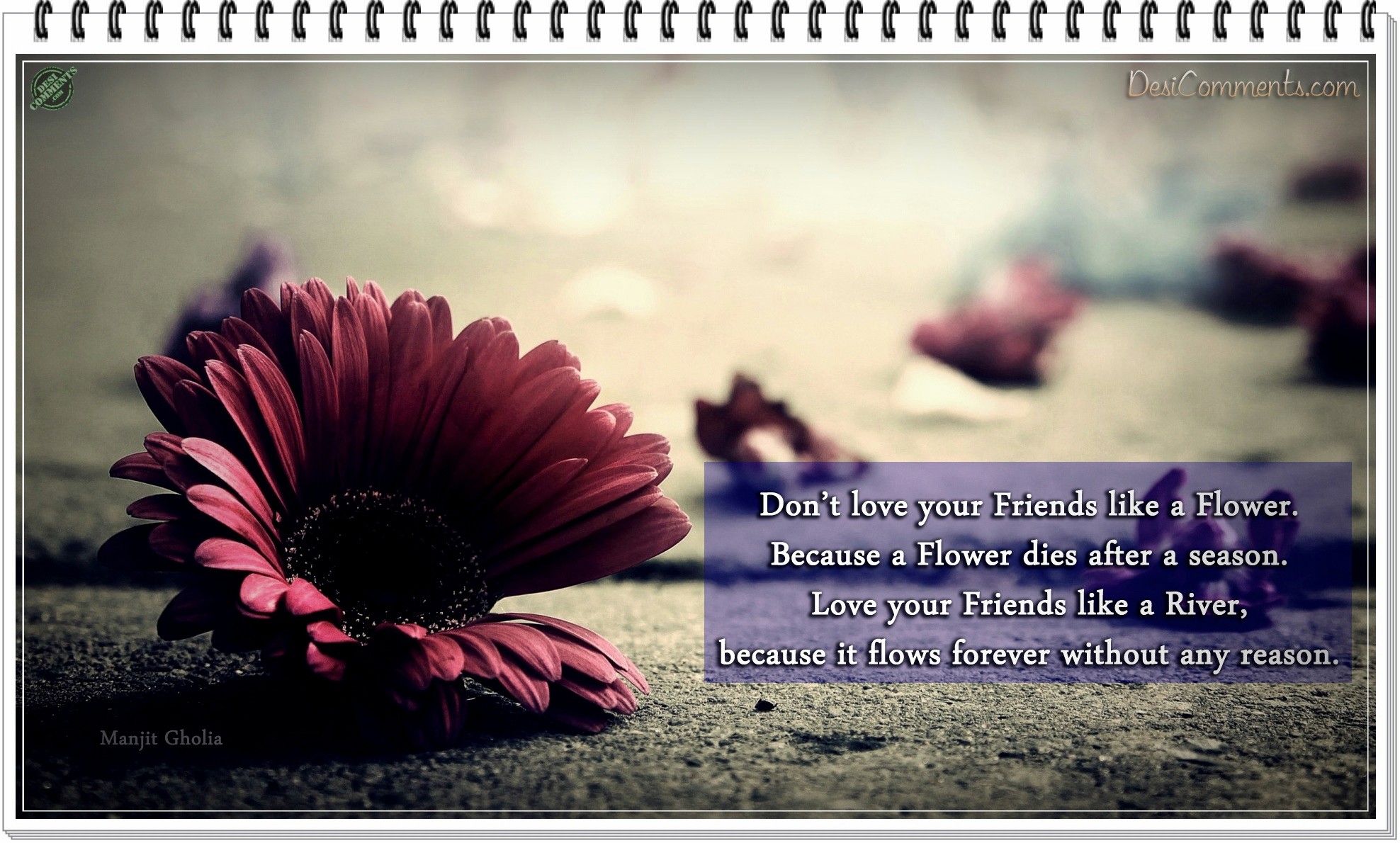 Quotes About Loving Your Friends. QuotesGram