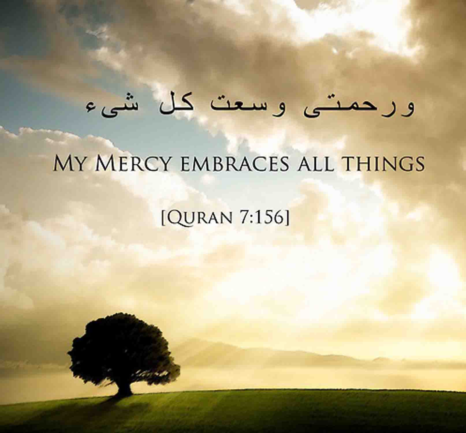 Quran Quotes QuotesGram
