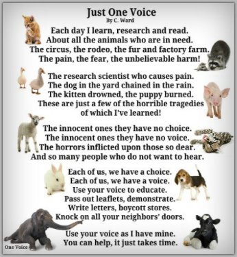 Animal Adoption Quotes Poems. QuotesGram