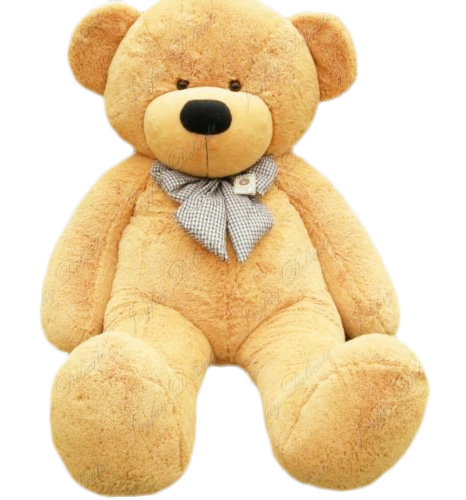 big teddy bear png