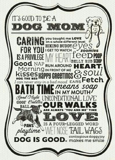 picture Dog Mom Quotes Tumblr dog mom quotes quotesgram