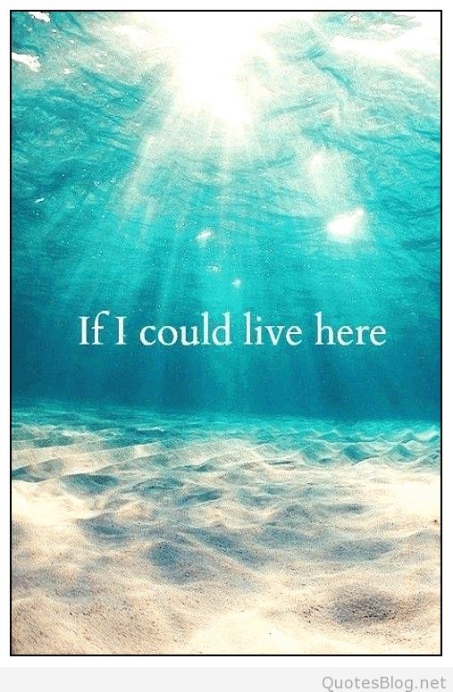 ocean waves sayings ocean waves sayings