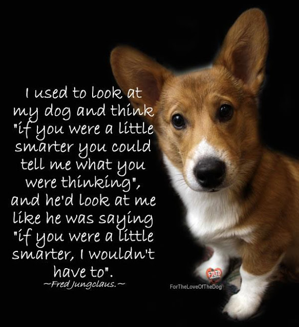 Hunting Quotes With Your Dog. QuotesGram