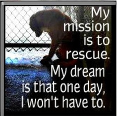 Animal Quotes For 2014. QuotesGram