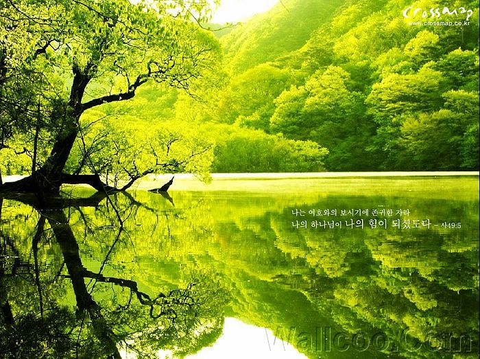 nature scenery quotes nature scenery quotes