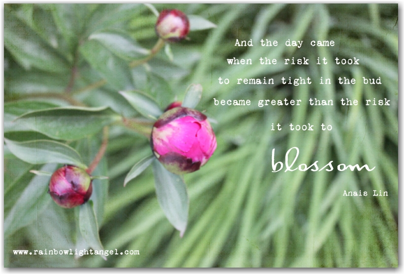 Blossomed Quotes. QuotesGram