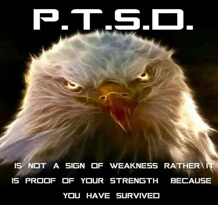 Troops With Ptsd Quotes. QuotesGram