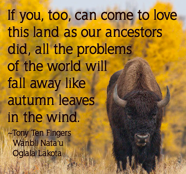 Native American Land Quotes. QuotesGram