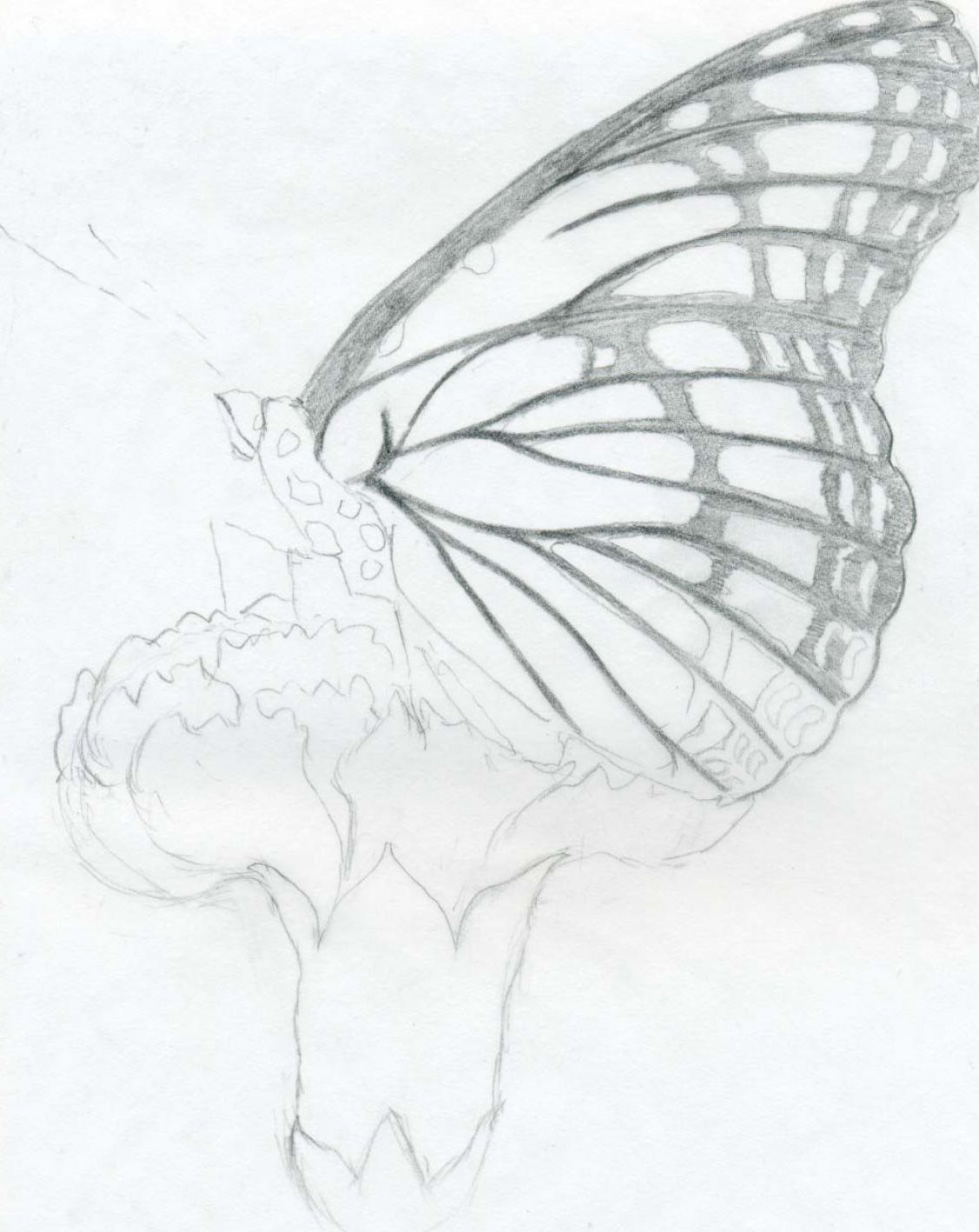 pics Easy Small Pencil Sketches pretty drawings with quotes quotesgram