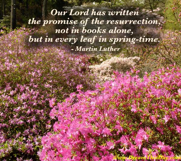 Christian Quotes About Springtime. QuotesGram