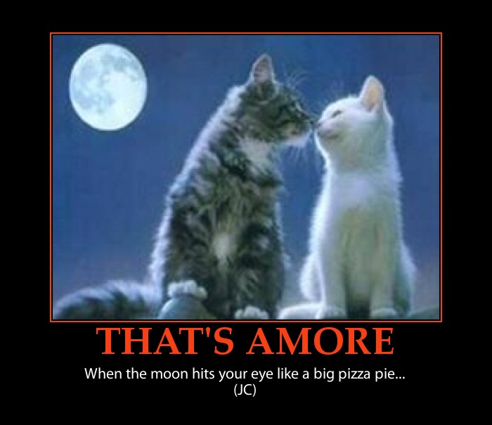 long-day-funny-quotes-quotesgram