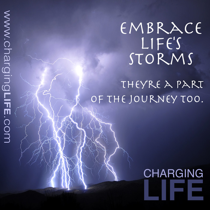 Embrace Life Quotes. QuotesGram