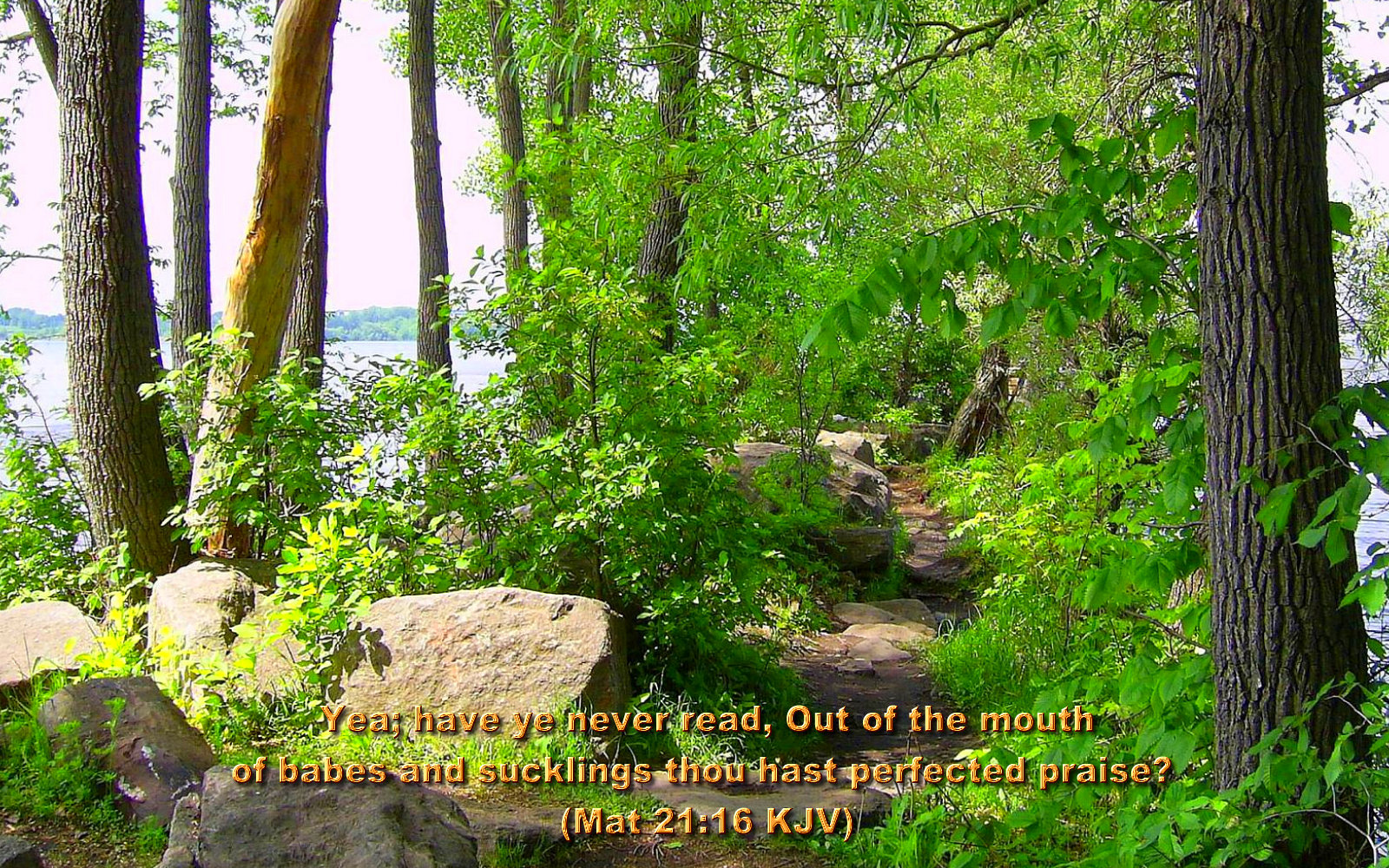 Bible Quotes About Gardening Quotesgram