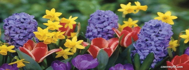 Spring Is Coming Picture Quotes For Facebook Quotesgram Spring Is Coming Picture Quotes For Facebook Quotesgram