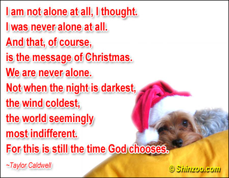 All Alone On Christmas Quotes. QuotesGram